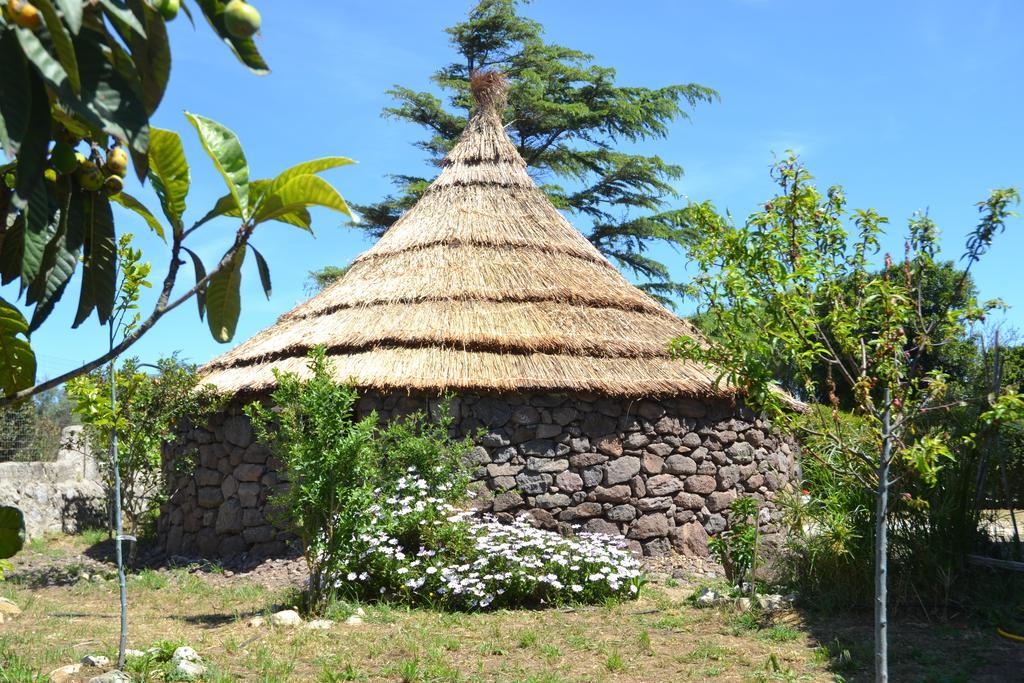 B&B Antica Botte Sassari Exterior photo